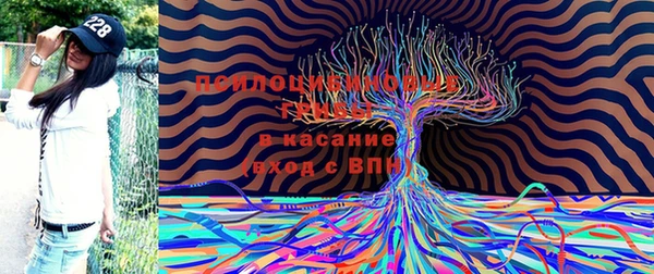 скорость Волосово